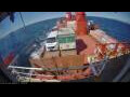 Webcam Irena Arctica