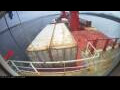 Webcam Irena Arctica