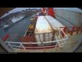 Webcam Irena Arctica