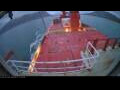 Webcam Irena Arctica