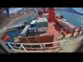 Webcam Irena Arctica