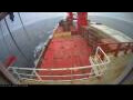 Webcam Irena Arctica