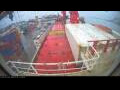 Webcam Irena Arctica