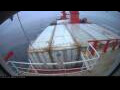 Webcam Irena Arctica