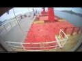 Webcam Irena Arctica