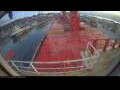 Webcam Irena Arctica