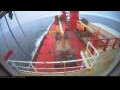 Webcam Irena Arctica