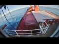 Webcam Irena Arctica