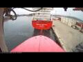 Webcam Irena Arctica
