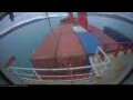 Webcam Irena Arctica