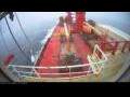 Webcam Irena Arctica