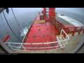 Webcam Irena Arctica