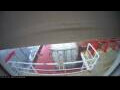 Webcam Irena Arctica