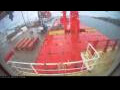 Webcam Irena Arctica
