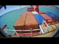Webcam Irena Arctica