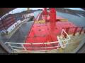 Webcam Irena Arctica