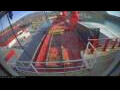 Webcam Irena Arctica