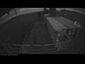 Webcam Irena Arctica