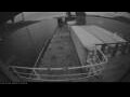 Webcam Irena Arctica
