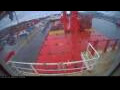Webcam Irena Arctica