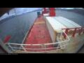 Webcam Irena Arctica