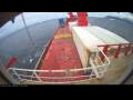 Webcam Irena Arctica