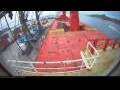 Webcam Irena Arctica