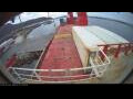 Webcam Irena Arctica