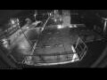 Webcam Irena Arctica