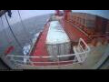 Webcam Irena Arctica