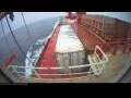 Webcam Irena Arctica