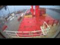 Webcam Irena Arctica