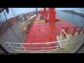Webcam Irena Arctica