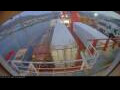 Webcam Irena Arctica