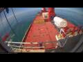 Webcam Irena Arctica