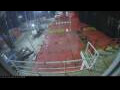 Webcam Irena Arctica