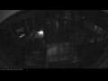 Webcam Irena Arctica