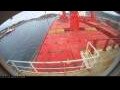 Webcam Irena Arctica