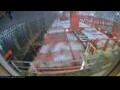 Webcam Irena Arctica