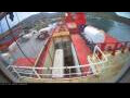 Webcam Irena Arctica