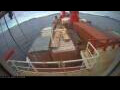 Webcam Irena Arctica