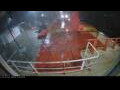 Webcam Irena Arctica