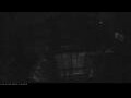 Webcam Irena Arctica