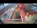 Webcam Irena Arctica