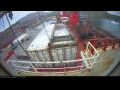 Webcam Irena Arctica