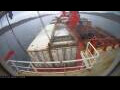 Webcam Irena Arctica