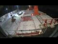 Webcam Irena Arctica