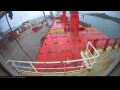 Webcam Irena Arctica