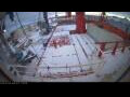 Webcam Irena Arctica