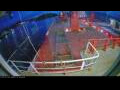 Webcam Irena Arctica